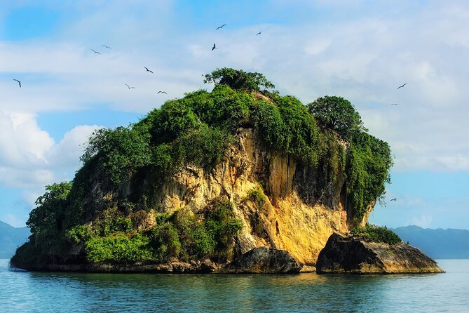 10-Hour Guided Tour of Samana and Bacardi Island Los Haitises - What the strongest service points tell you