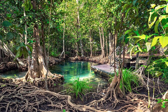 10-Hour Guided Tour of Samana and Bacardi Island Los Haitises - Who will enjoy this Samaná excursion