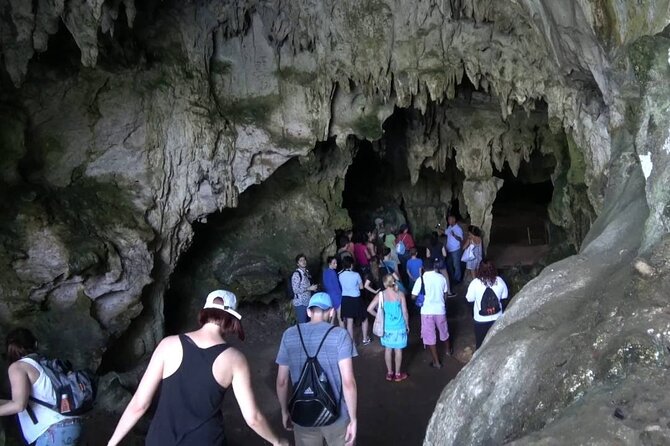 10-Hour Guided Tour of Samana and Bacardi Island Los Haitises - The 5:20 a.m. pickup from Puerto Plata