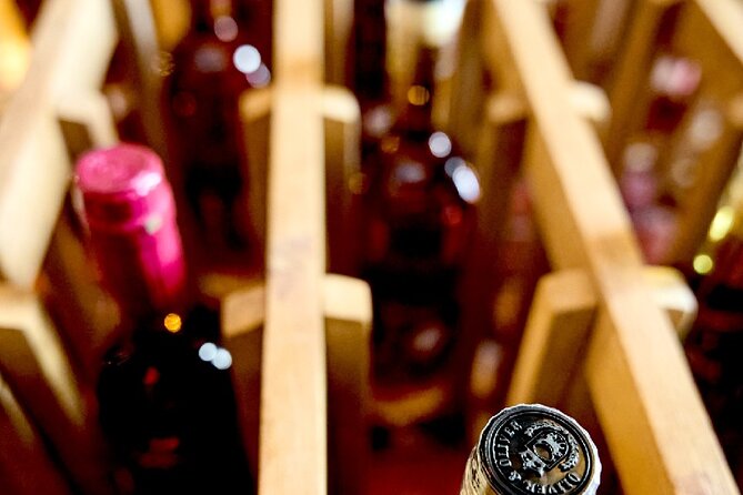 100% Caribbean Rum Tasting in Punta Cana. - Starting with sugar cane, not the bottle