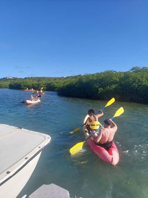 Antigua: Drink Till Your Drunk Rum Drinking & Discovery Tour - Five things to know before you book