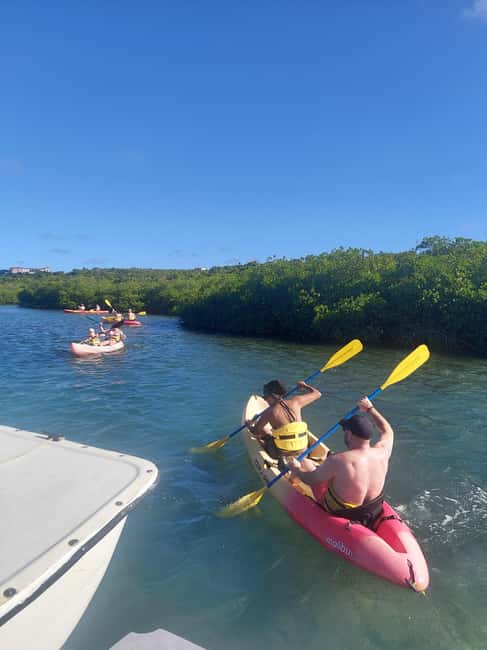 Antigua: Drink Till Your Drunk Rum Drinking & Discovery Tour - Rum, roads, and a very social style