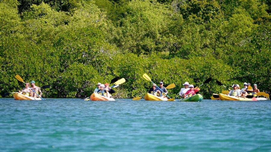 Antigua: Drink Till Your Drunk Rum Drinking & Discovery Tour - St. John’s sets the scene in 15 minutes