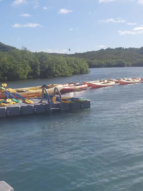 Antigua: Drink Till Your Drunk Rum Drinking & Discovery Tour - Betty’s Hope explains Antigua’s sugar past