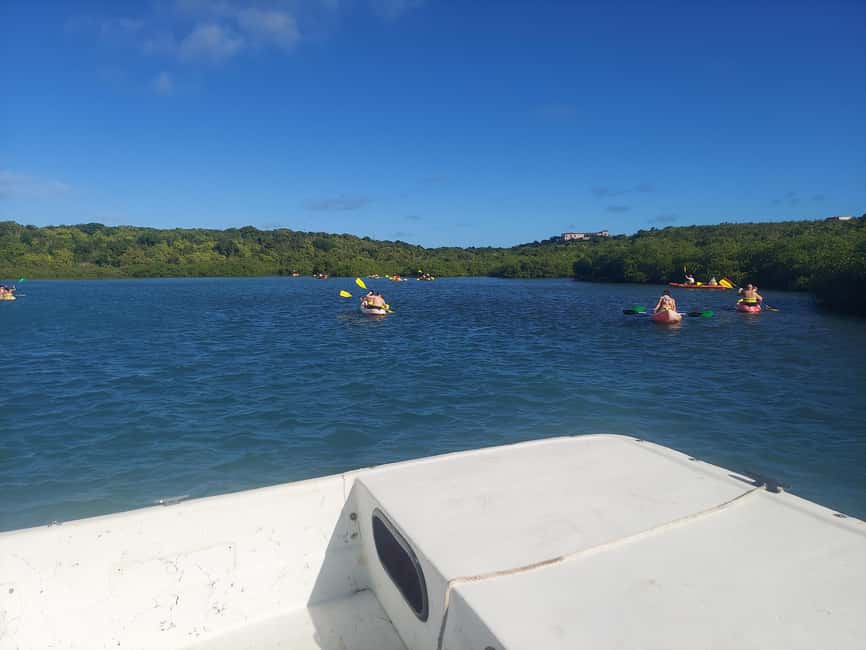 Antigua: Drink Till Your Drunk Rum Drinking & Discovery Tour - What the rum service is really like