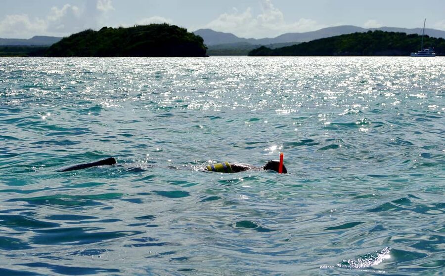 Antigua: Drink Till Your Drunk Rum Drinking & Discovery Tour - Starting from your hotel or cruise ship