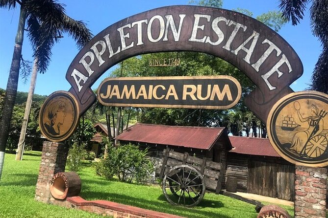 Appleton Estate Rum Factory And YS Falls Inclusive Tours From Montego Bay - YS Falls: seven tiers and swimming pools