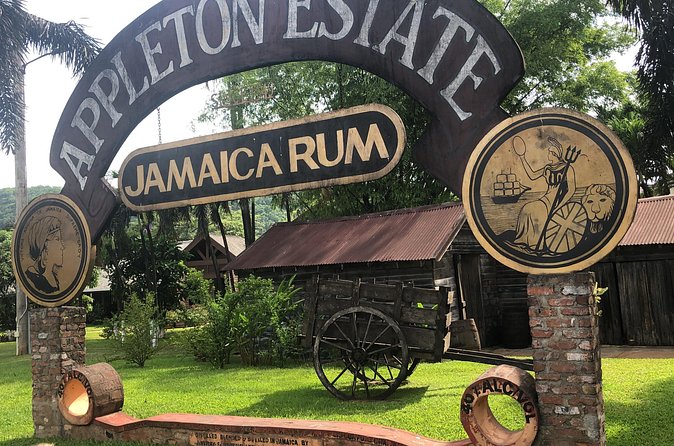 Appleton Estate Rum Tour - Sugarcane juice and molasses at the estate
