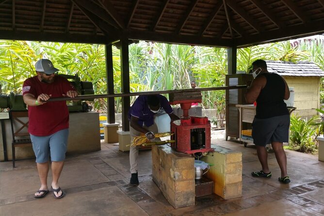 Appleton Estate Rum Tour and Pelican Bar Customize Tour - From Montego Bay to Jamaica’s south coast