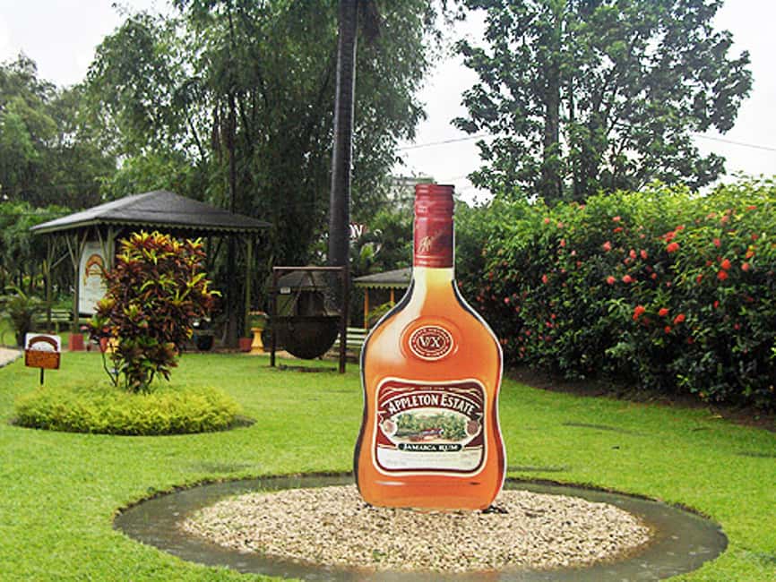 Appleton Estate Rum Tour: Full Day from Montego Bay - From Montego Bay to Jamaica’s sugarcane country