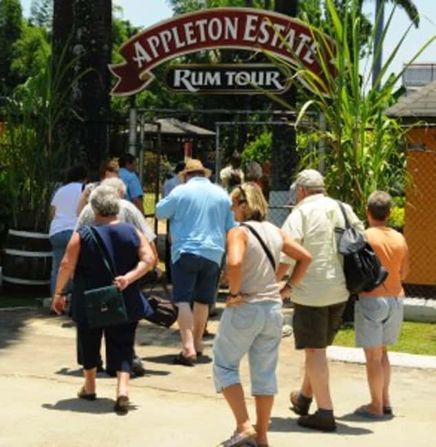 Appleton Estate Rum Tour: Full Day from Montego Bay - Appleton Estate and its long connection to sugarcane