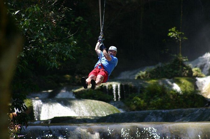 Appleton Estate Rum, YS Falls, Black River Safari / Floyd's Pelican Bar Tour - Black River Safari: wildlife from the water
