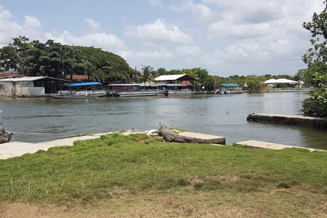 Appleton Estate Rum, YS Falls, Black River Safari / Floyd's Pelican Bar Tour - Appleton Estate: a closer look at Jamaican rum
