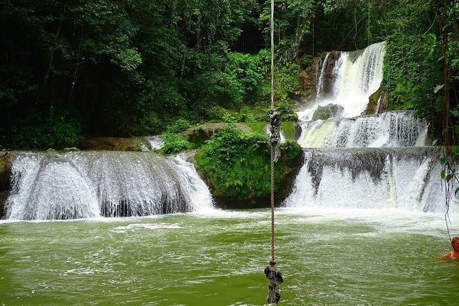 Appleton Estate, Ys Falls and Black River Safari Private Tour - Key points to know before booking