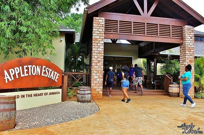 Appleton Estate, Ys Falls and Black River Safari Private Tour - The Black River cruise slows the pace