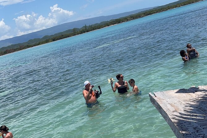 Appleton estate,YS Falls,Black River Safari,Pelican Bar(any 3of4) - Black River Safari: a slower look at Jamaica’s wildlife