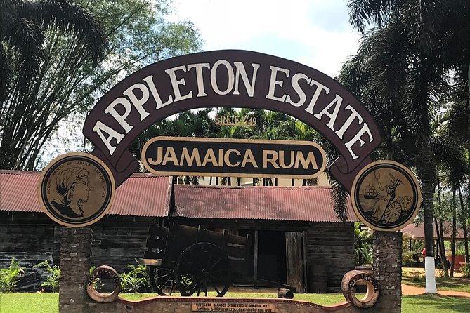 Appleton Rum Factory, YS Falls, and Reggae Horseback Ride & Swim Combo Tour - Key points to know before you book