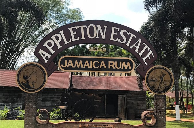 Appleton Rum Factory, YS Falls, and Reggae Horseback Ride & Swim Combo Tour - YS Falls: water, lunch, and a scenic pause