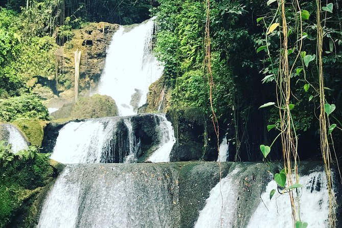 Appleton Rum Factory, Ys Falls, Black River Safari, Floyd’s Pelican Bar - Who should book this South Coast tour?