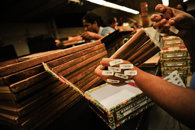 Aurora Cigar & Rum Sensory Tasting and Pairing in Punta Cana - Pairing the pours with a Dominican cigar