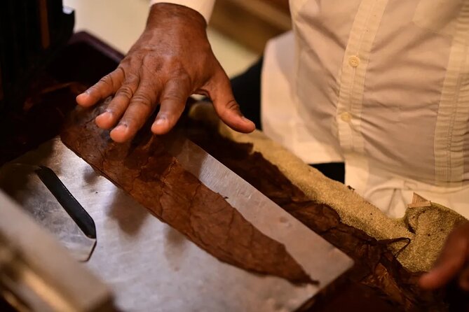 Aurora Cigar & Rum Sensory Tasting and Pairing in Punta Cana - What the two-hour schedule means for your day