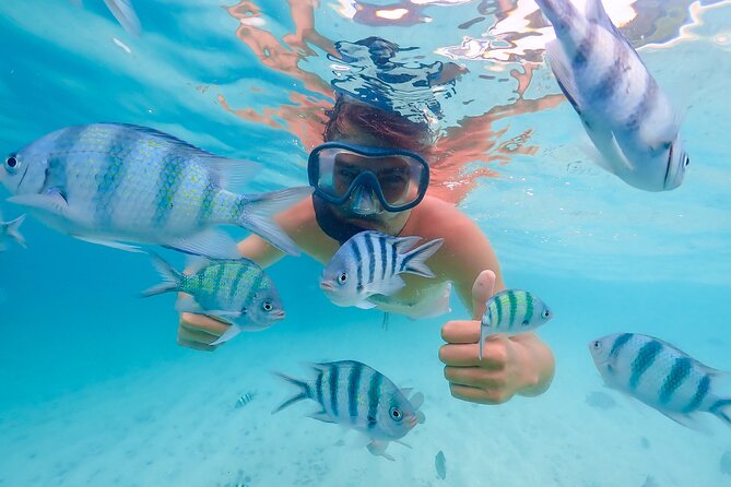 Bacardi Island Excursion with Catamaran, Beach and Lunch - Key points to know before booking