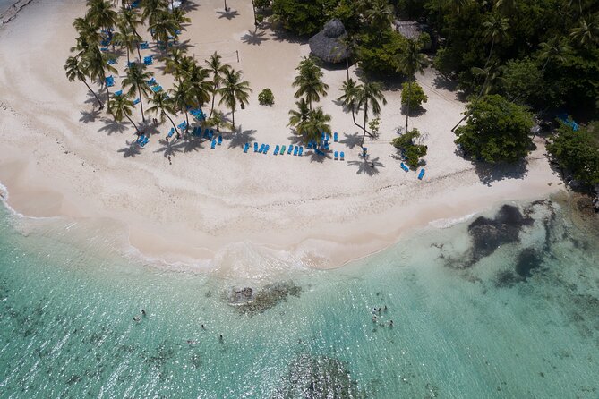Bacardi Island Excursion with Catamaran, Beach and Lunch - The long road from Punta Cana to Samaná Bay
