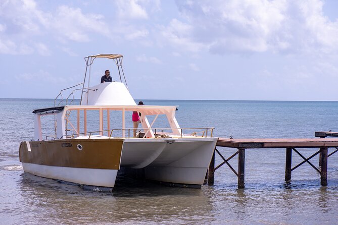 Bacardi Island Excursion with Catamaran, Beach and Lunch - Guides, drivers, and the human side of the day