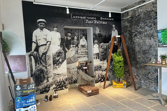 Banana Museum, Rum Distillery & Winery with Tasting: Premium tour - An hour for lunch in Agaete