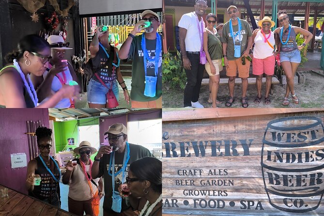 Bar Hopping and Grenadian Rum Tasting Tour - A Grenadian bar crawl with a waterfall in the middle