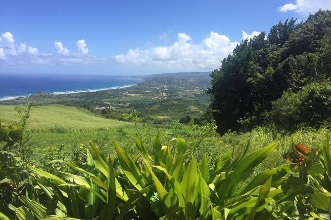 Barbados Highlights and Rum Tour - Gun Hill and the Garrison Savannah