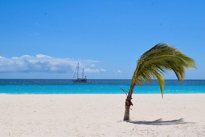 Barbados Highlights and Rum Tour - Lunch at SAVVY on Carlisle Bay