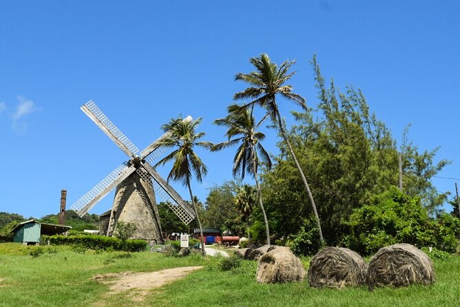 Barbados Highlights and Rum Tour - Bathsheba and Barbados’ east coast