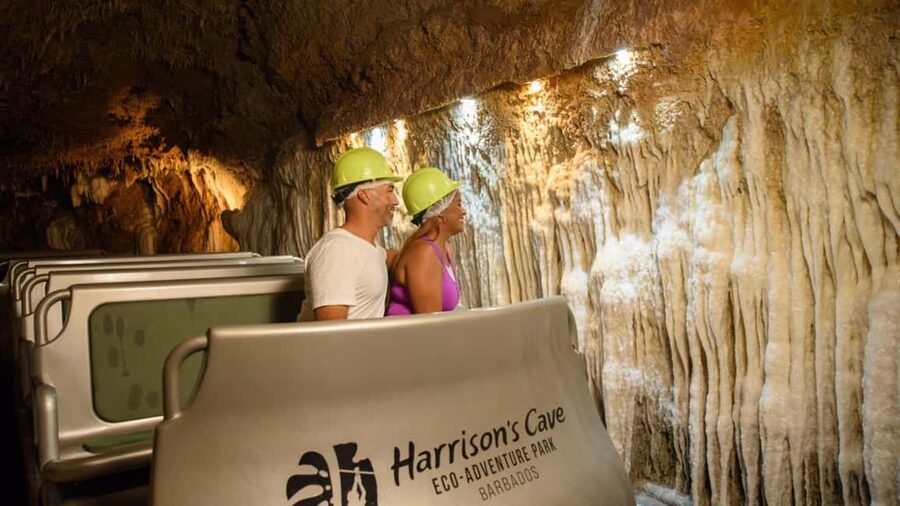 Barbados: Trail, Tram & Rum Experience - What the $145 price really buys
