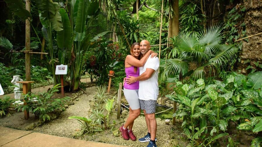 Barbados: Trail, Tram & Rum Experience - Who should book this experience