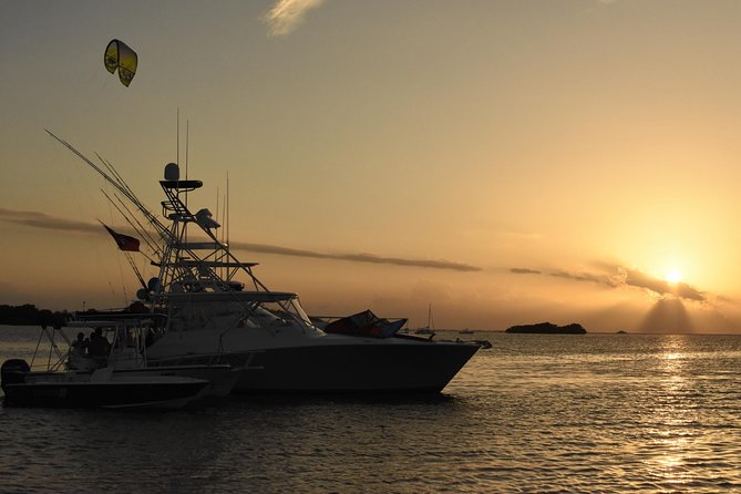 Bio Bay Magic and Rum Tasting Tour from San Juan - Why the bioluminescent swim is worth the long ride