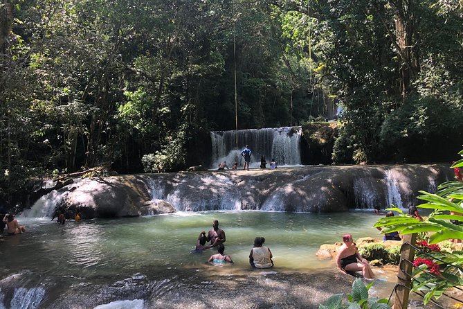 Black River Safari, YS Falls and Appleton Estate - Key points to know before booking