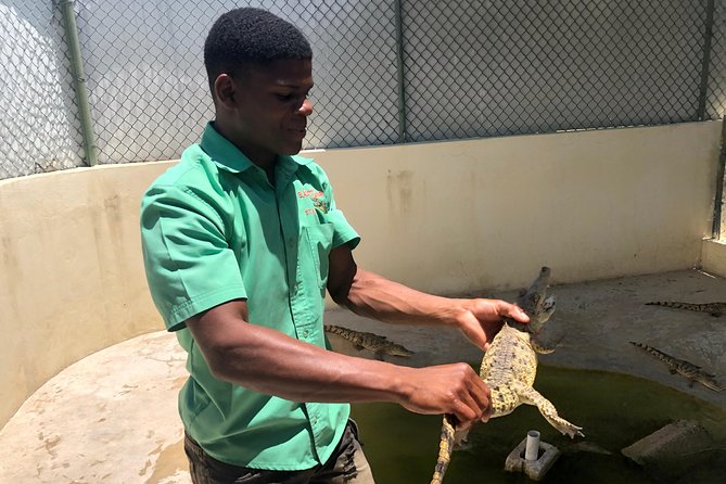 Black River Safari, YS Falls and Appleton Estate - Learning how sugar cane becomes Appleton rum