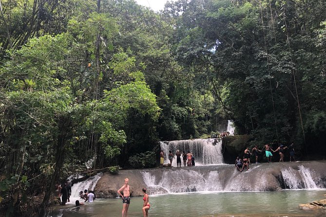 Black River Safari, YS Falls and Appleton Estate - The private vehicle makes a real difference