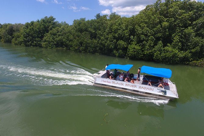 Black River Safari, YS Falls and Appleton Estate - Practical details for a smoother day