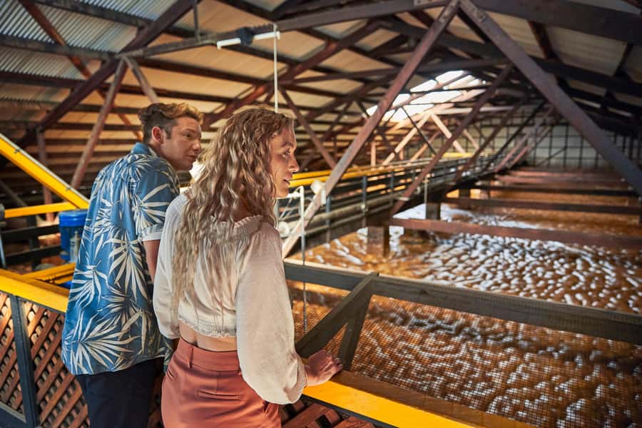 Bundaberg; Bundaberg Rum Distillery Tour and Tasting - Starting with Bundaberg Rum’s museum