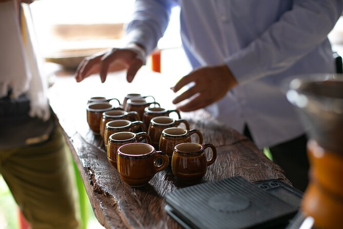 Coffee Tour with arrival on horseback and sugar cane processing - Timing, weather, and practical comfort