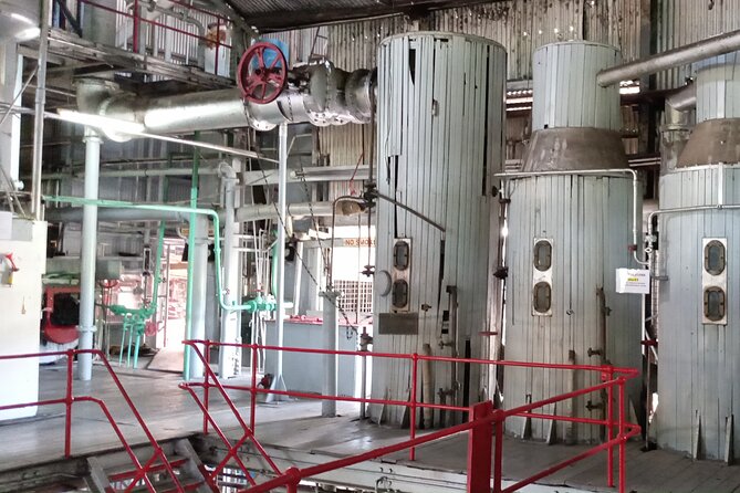 Discover Clarke’s Court Rum Distillery – Transportation Only - Who will get the most from this outing