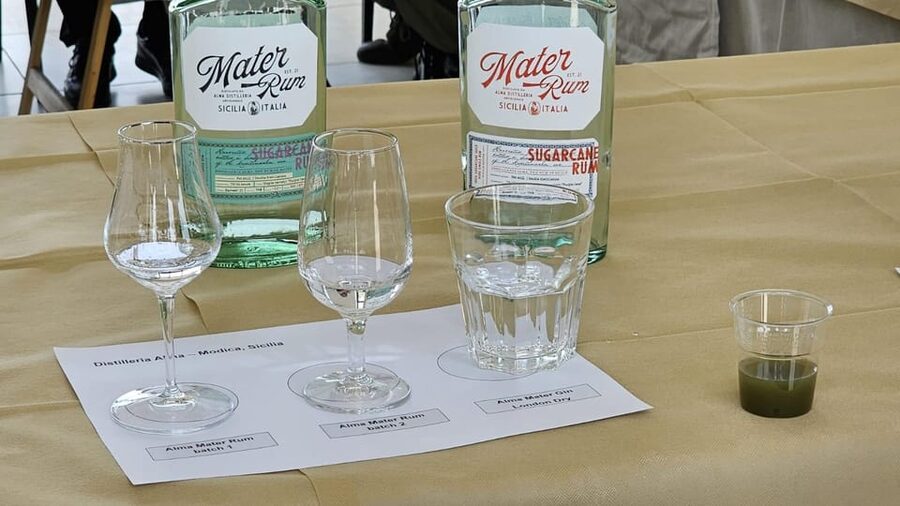 Distilleria Alma- Rum Distilery Guided Tour & Tasting - The fresh cane juice tasting