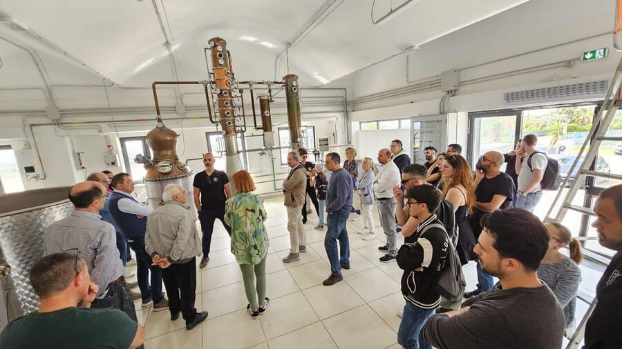 Distilleria Alma- Rum Distilery Guided Tour & Tasting - Five pours with Modica chocolate