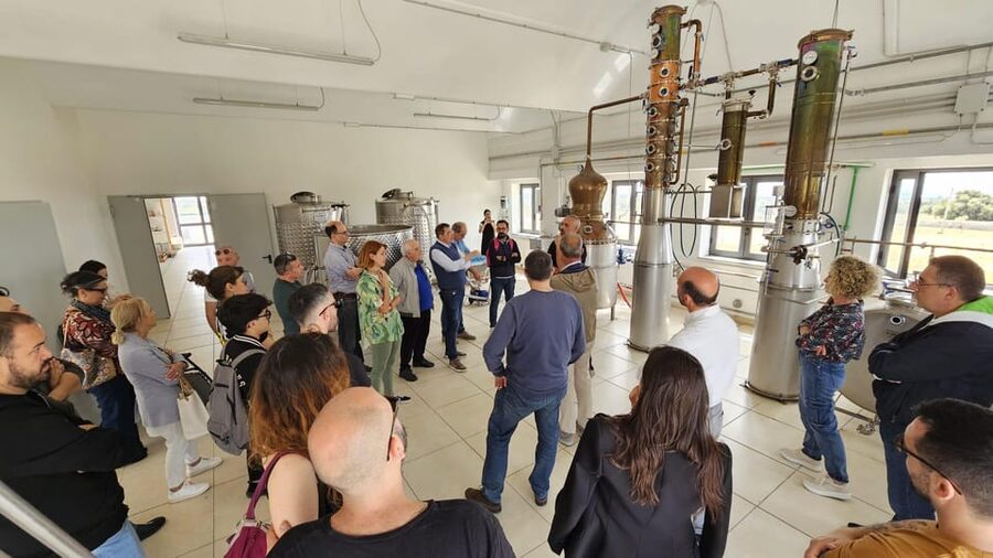 Distilleria Alma- Rum Distilery Guided Tour & Tasting - From pressing to fermentation