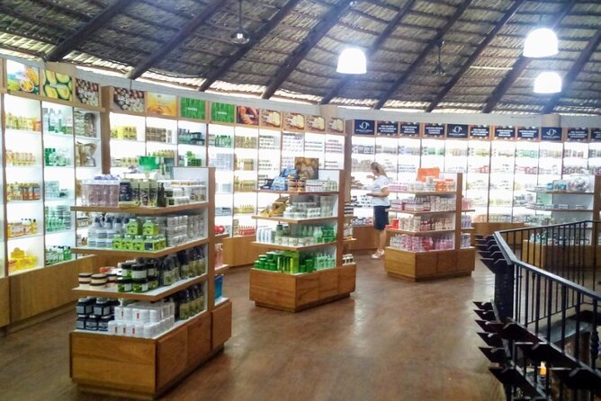 Don Lucas Cigar Factory & Store + Premium Rum Tasting (3 hours) - Transportation is the part you must manage