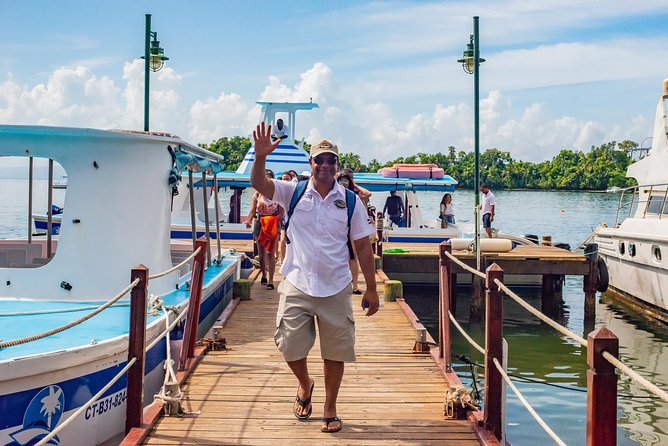 El Limon Waterfall and Bacardi Island Tour from Punta Cana with Lunch Included - Reaching the mountain by safari truck