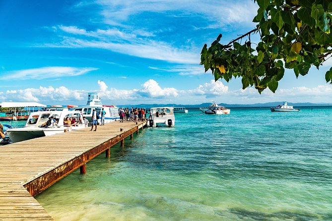 El Limon Waterfall and Bacardi Island Tour from Punta Cana with Lunch Included - What the $149 price really covers