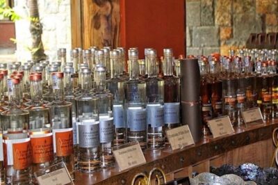 Explore the Southwest with Local Lunch & Rum Tasting
